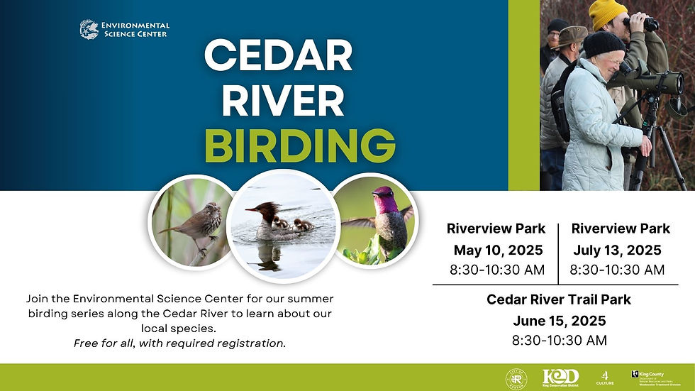 Cedar River Birding