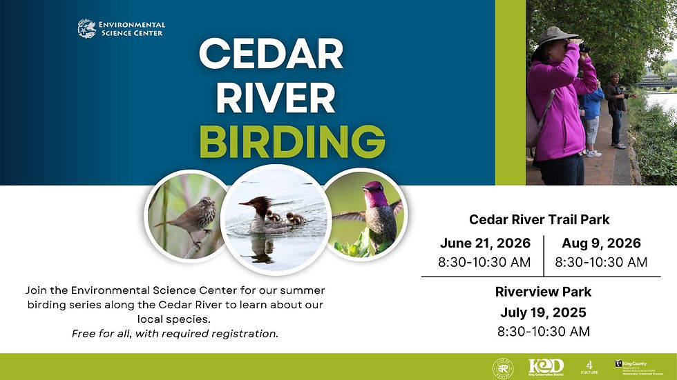 Cedar River Birding