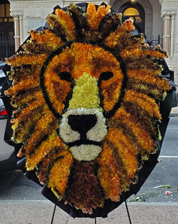 LIONS HEAD