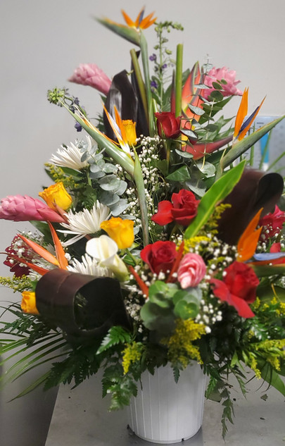 RB19 - TROPICAL BASKET