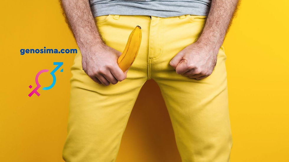 Χιουμοριστική απεικόνιση της ανδρικής στύσης