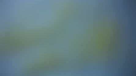 Μπορούν Viagra και Cialis να βοηθήσουν στην πρόωρη εκσπερμάτιση;