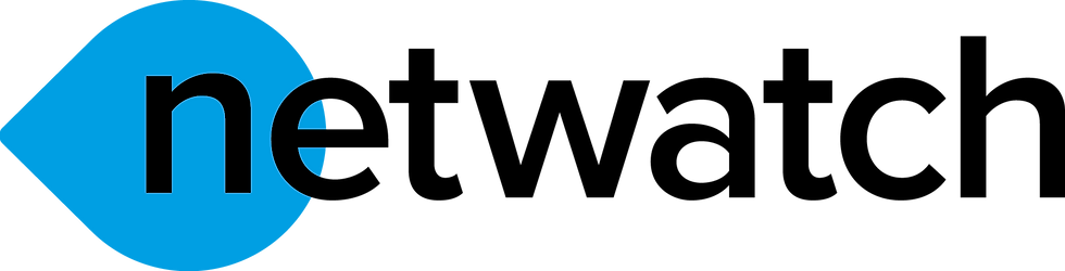 Netwatch Final Logo.png