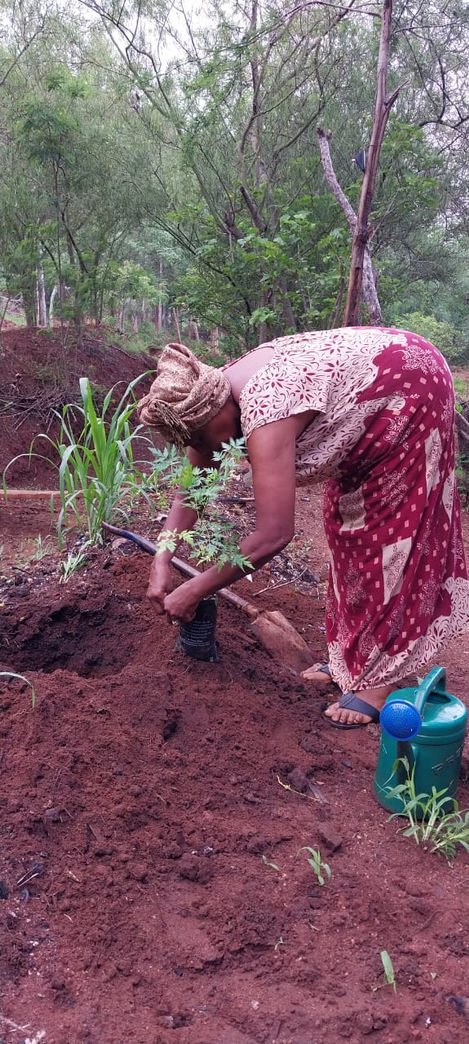 Mama Mercy planting trees on World Environment Day