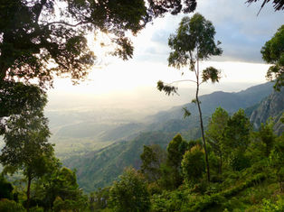 View from afar of Lake Manyara National Park, Tanzania
