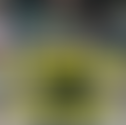 Maandag 9 maart t/m 23 maart - expositie 'All Cops Are' in bibliotheek Hoogeveen met 'Roze in Blauw'