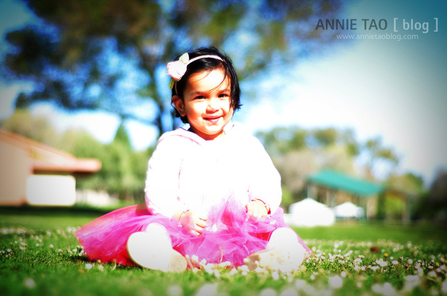 dsc_9283bg2