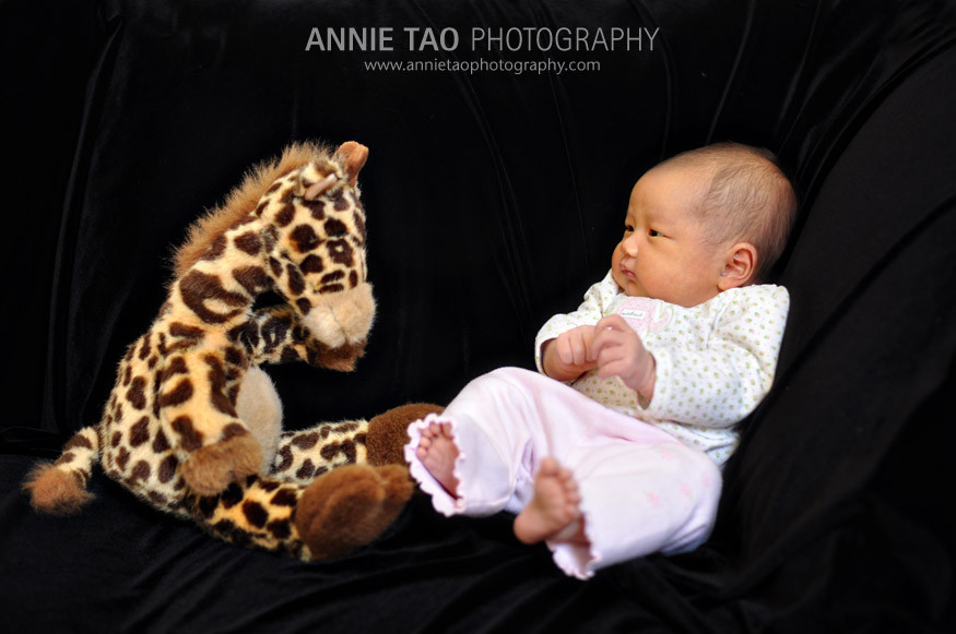 DSC_4419bg