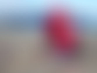 An Optimist or A Pessimist?