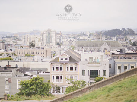 The Hungry Caterpillar