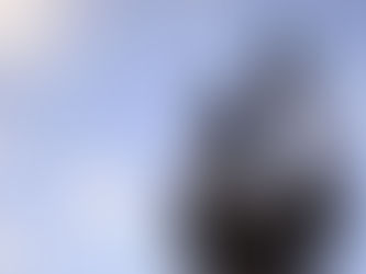 All I Want For Christmas