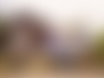 Wonderland at the Farm