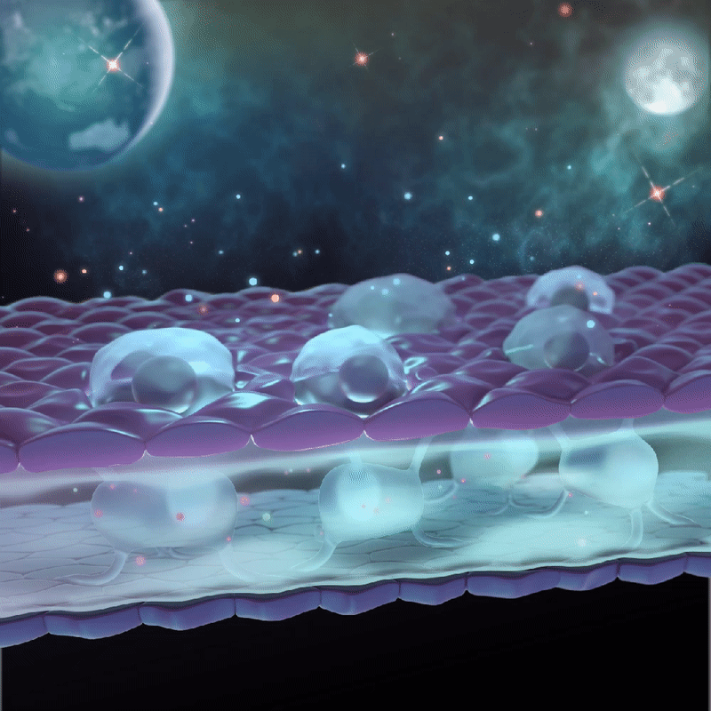 SpaceScience_01.gif