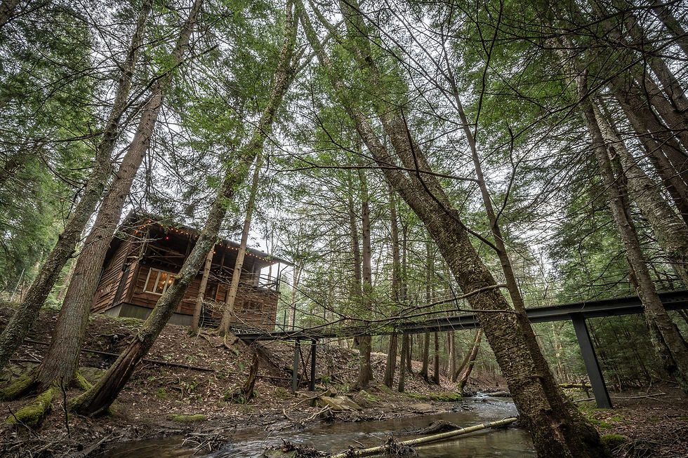 Rustic Run Cabin Bridge to Allegheny National Forest