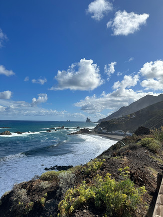 Panoramic views of Tenerife - impressive volcanic landscapes, picturesque coastlines and lush green forests of the Canary Island