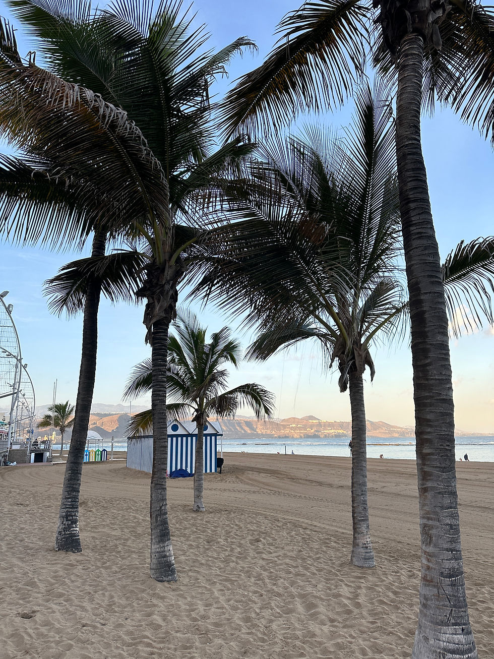 Las Palmas de Gran Canaria ist eine lebendige Stadt, die Kultur, historische Sehenswürdigkeiten und wunderschöne Strände wie Playa de Las Canteras vereint.