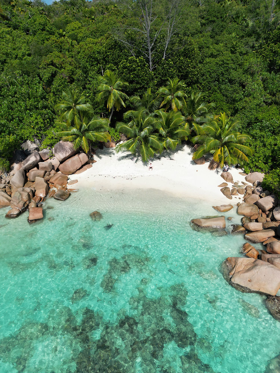 Petite Anse Lazio – Untouched, secluded beach on Praslin, ideal for snorkeling