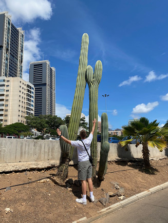 Panoramic views of Tenerife - impressive volcanic landscapes, picturesque coastlines and lush green forests of the Canary Island