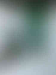 Casa Museo del Campesino with white and green houses