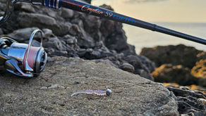 Ester Line vs. PE Braid: The Secret to High-Sensitivity Ajing