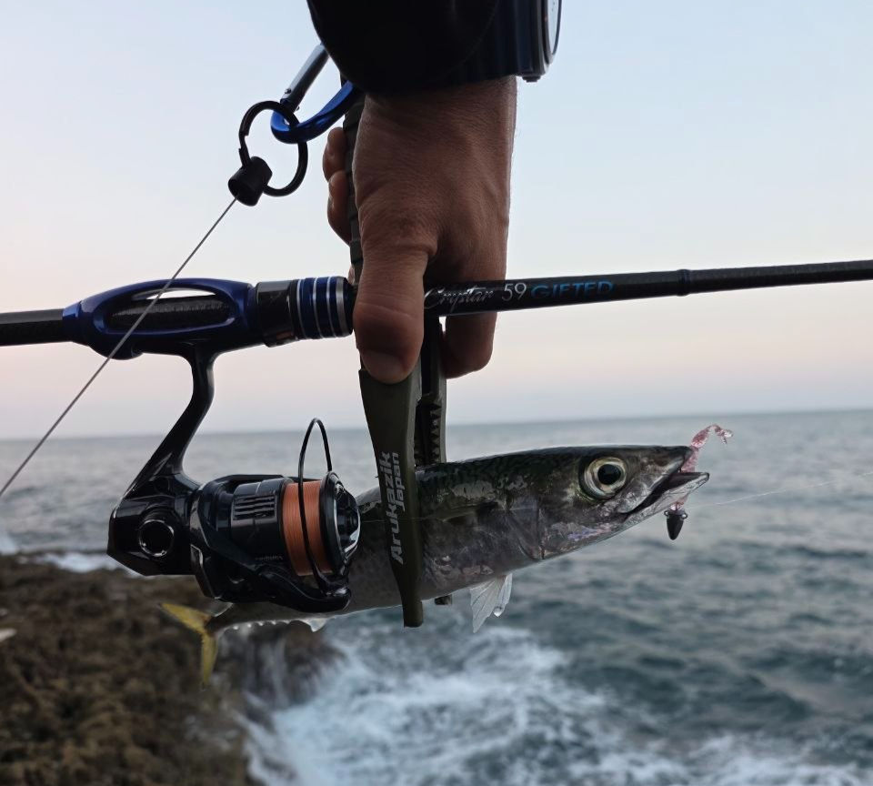 Me holding a Mackerel caught on Clear Blue Crystar 59 Gifted rod and Shimano Vanquish CE C2000S reel at Boca do Inferno, Cascais
