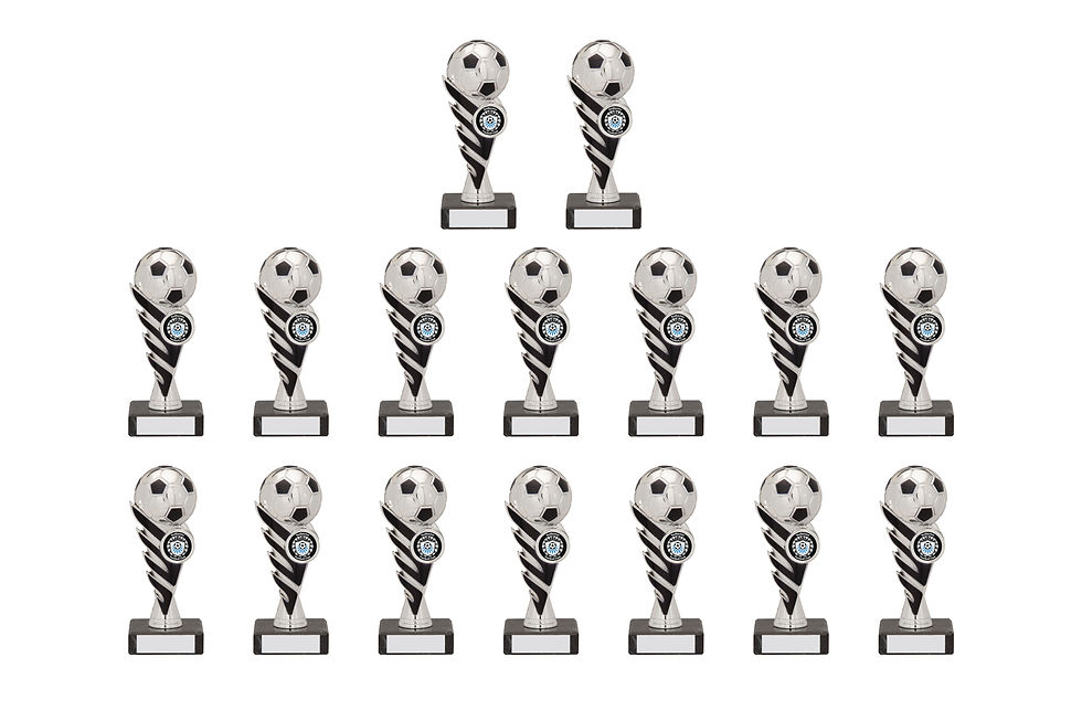 Pegasus Football Bulk Pack- Metallic Silver - F50