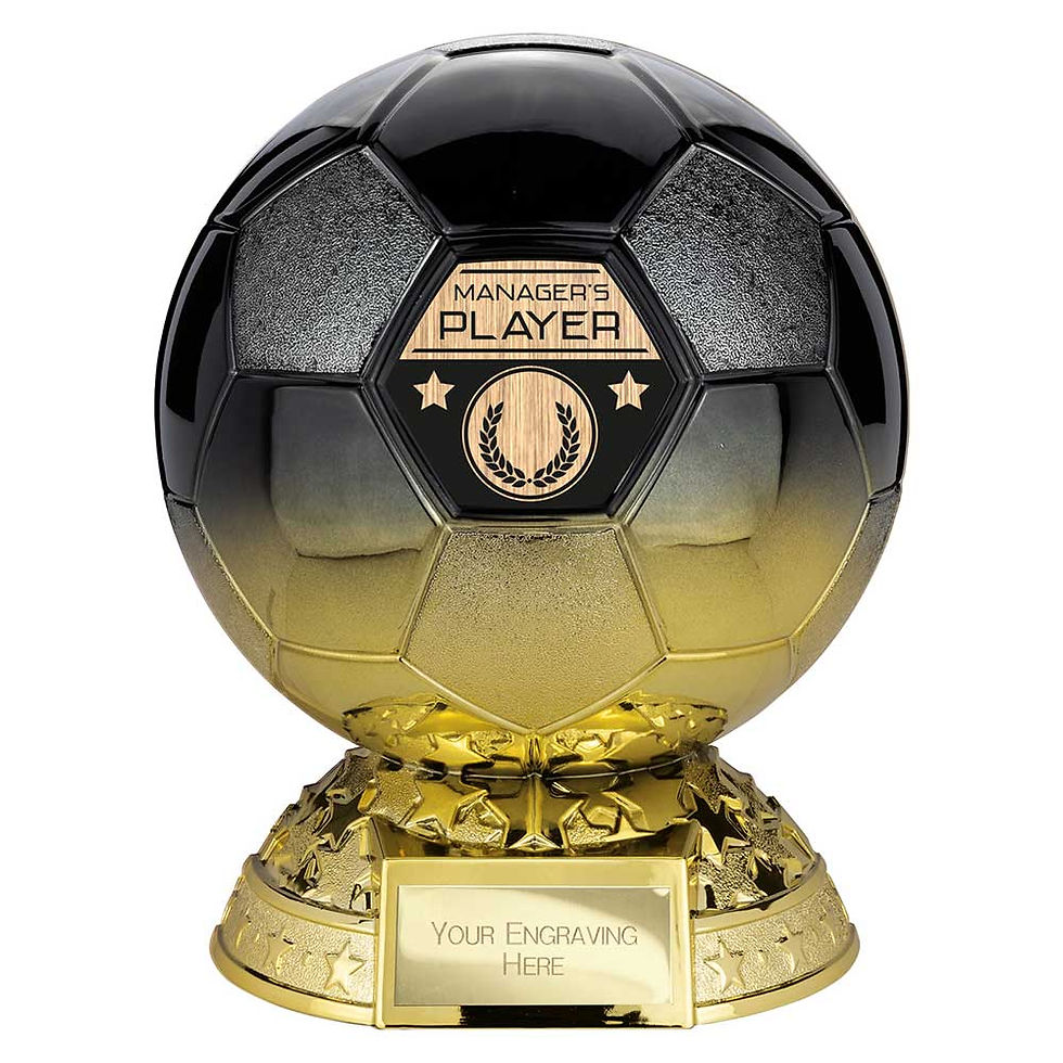 Thumbnail: Elite Football Award Black and Gold - Multiple Options