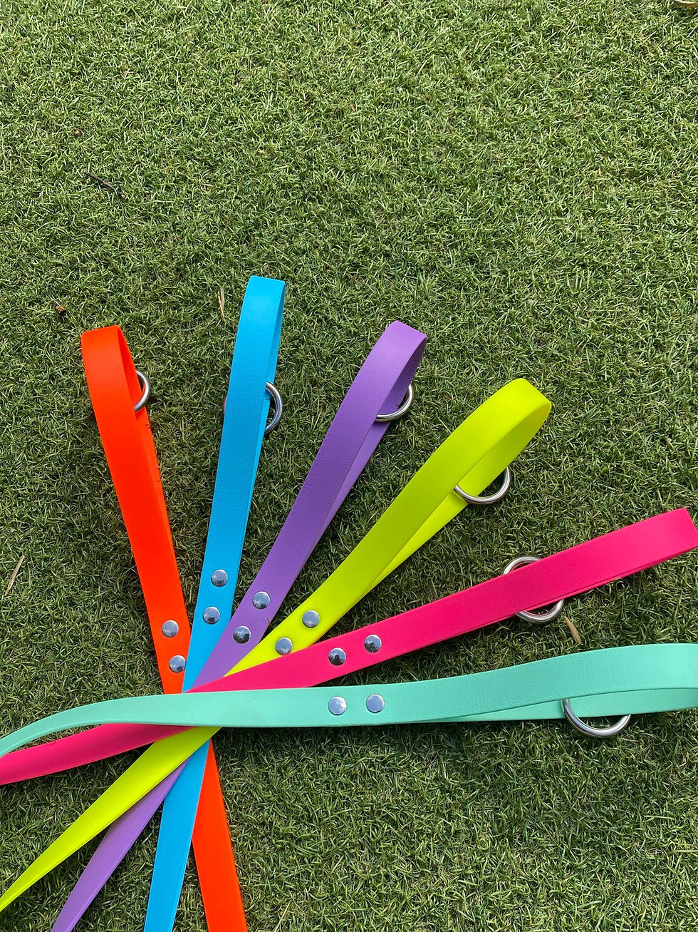 Thumbnail: Handmade Biothane Lead