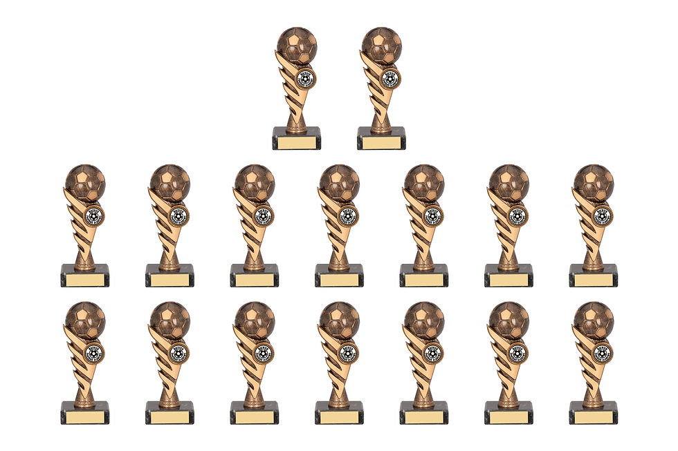 Pegasus Football Bulk Pack- Antique Gold - F50