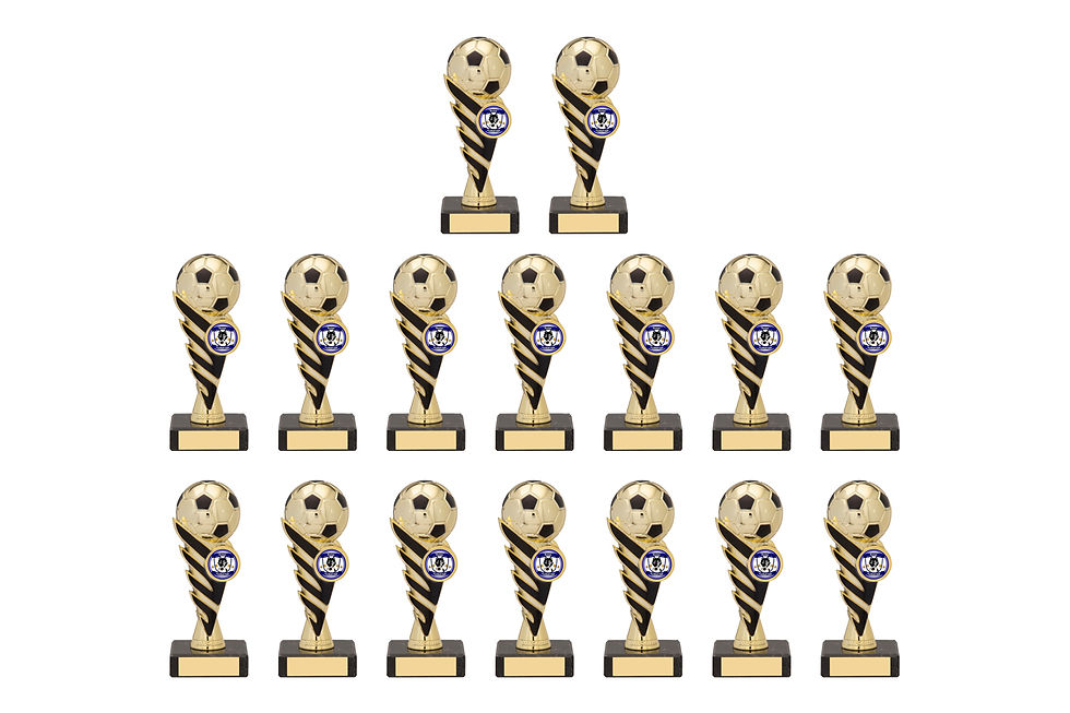 Pegasus Football Bulk Pack Metallic Gold - F50