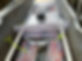 IMG_4003.jpeg