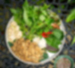 Tami Mushroom Salad Rolls