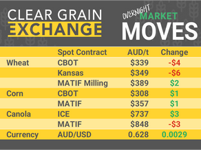 Grain Report Tuesday- 11th February