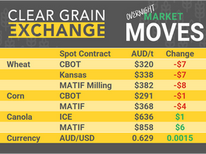 Grain Report Tuesday- 25th March