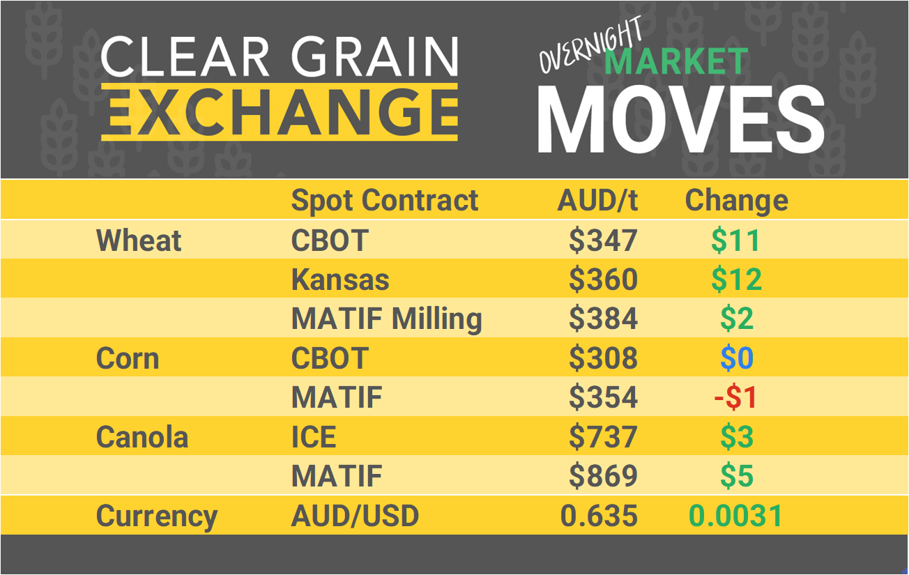 Grain Report Monday- 17th February
