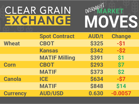 Grain Report Friday- 21st March