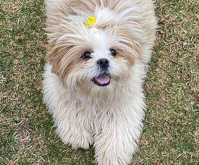 Aline - Lola 3 (1).jpeg