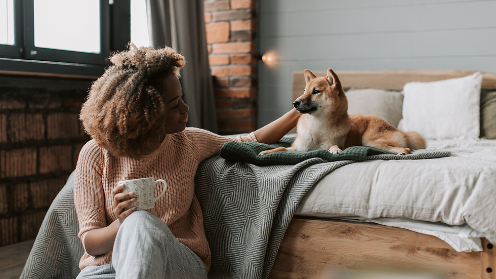 Who Gets the Dog? Navigating Pet Custody After Divorce