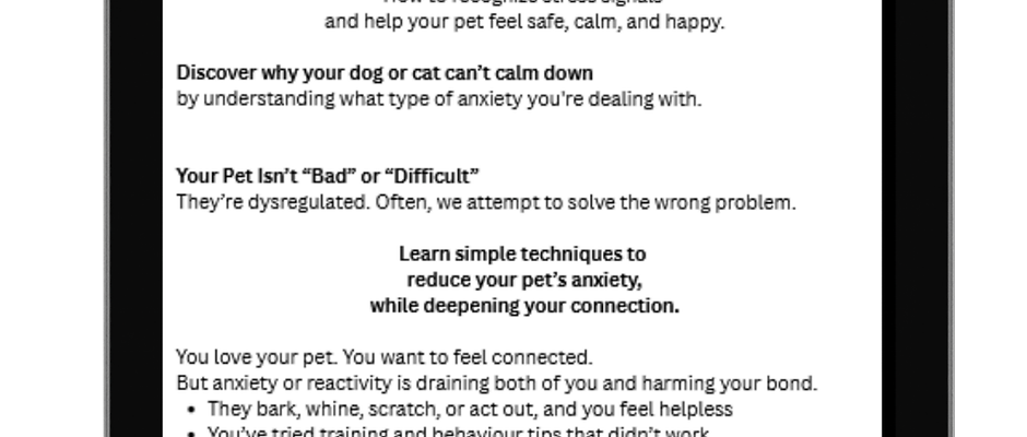 Understand and Reduce Anxiety in Dogs and Cats