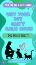 Why Your Dog or Cat Can't Calm Down: Understanding Anxiety, Stress, and Reactivity