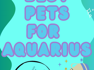 The best types of Pet's for Aquarius