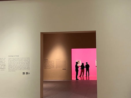 A Doorway Into Art -Reflections on Picasso Though the Eyes of Paul Smith-