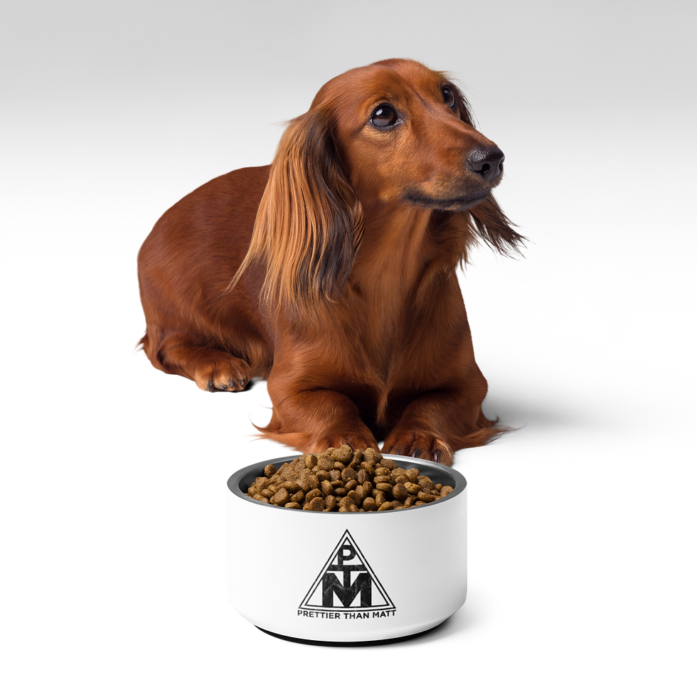 Thumbnail: Pet bowl