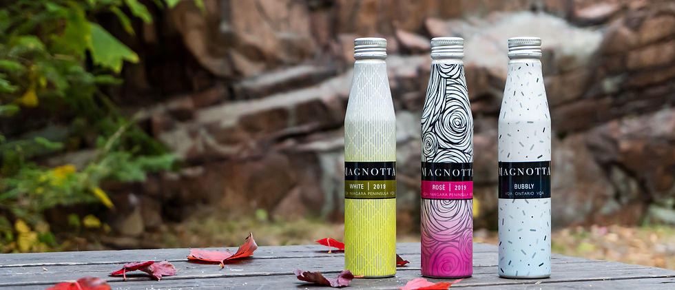 3 portavino aluminum wine bottles