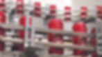 Kinsbrae cans on the sleeving line