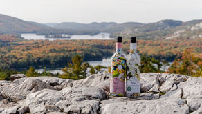 How Paper KB Bottles Can Boost Your Brand And Help You Stand Out From Competitors