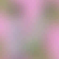 Buen Vato Tequila Blanco and Salty Goat Margarita Mix Paper KB Bottles