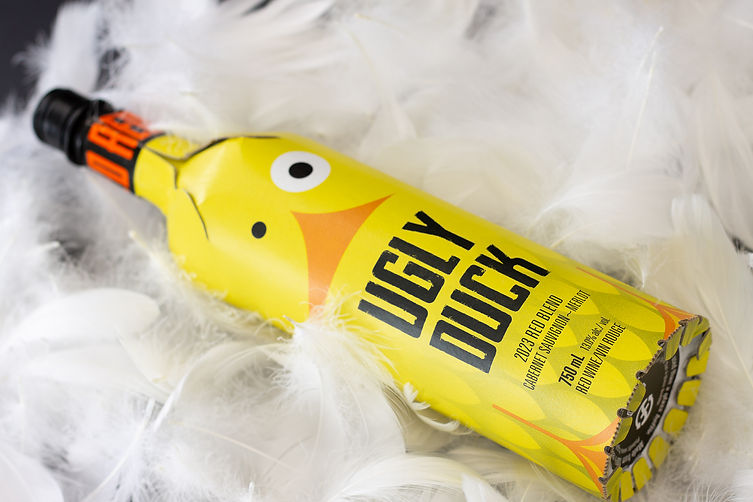 ugly duck - feathers-4.jpg