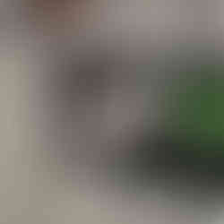 Brock St 24 can corrugated trays