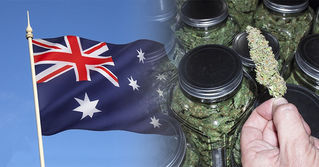 Australia Has  Legalized Medical Marijuana Across the Continent.